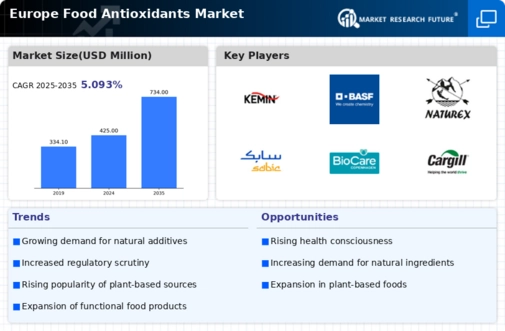 Europe Food Antioxidants Market Infographic