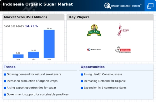 Indonesia Organic Sugar Market Infographic