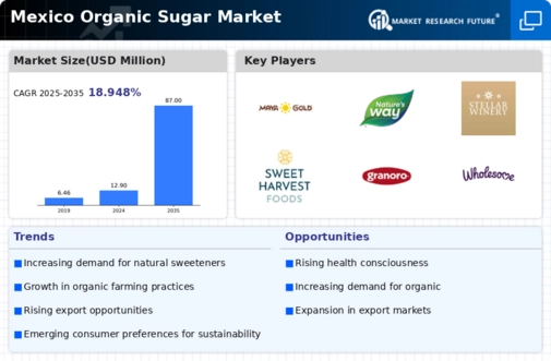 Mexico Organic Sugar Market Infographic
