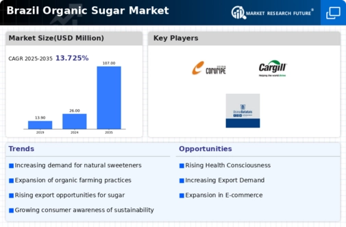 Brazil Organic Sugar Market Infographic