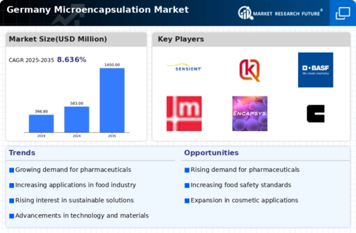 Germany Micro Encapsulation Market Infographic