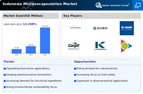 Indonesia Micro Encapsulation Market Infographic
