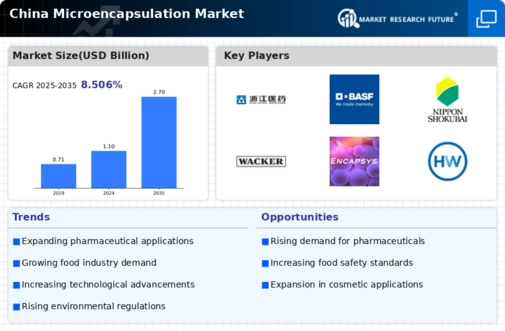China Micro Encapsulation Market Infographic