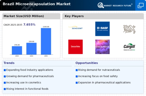 Brazil Micro Encapsulation Market Infographic