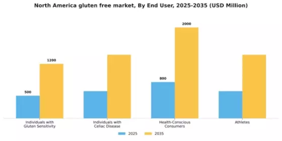 North America Gluten Free Products Market Segment Image 1