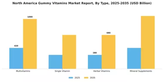 North America Gummy Vitamins Market Segment Image 3