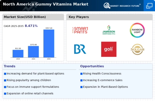 North America Gummy Vitamins Market Infographic