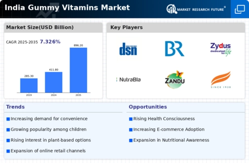 India Gummy Vitamins Market Infographic