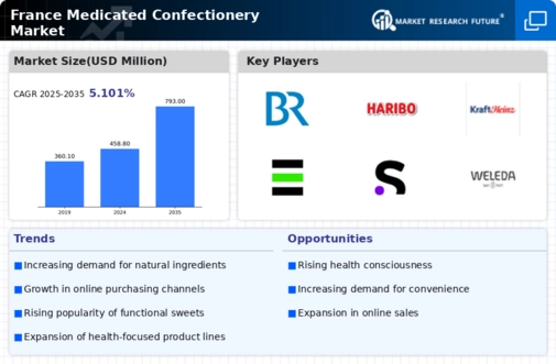France Medicated Confectionery Market Infographic