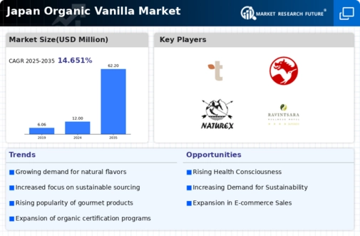 Japan Organic Vanilla Market Infographic