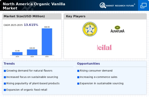North America Organic Vanilla Market Infographic