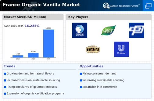 France Organic Vanilla Market Infographic