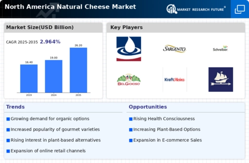 North America Natural Cheese Market Infographic