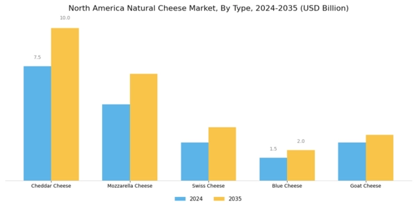 North America Natural Cheese Market Segment Image 0