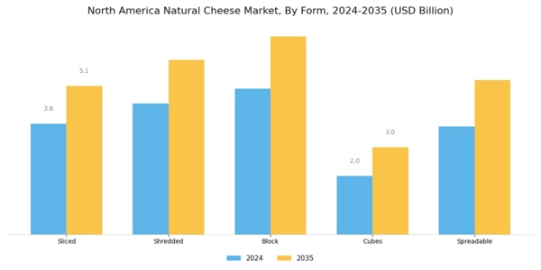 North America Natural Cheese Market Segment Image 2