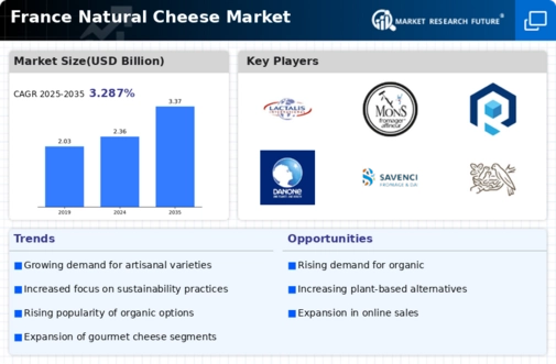 France Natural Cheese Market Infographic
