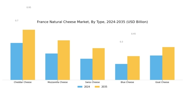 France Natural Cheese Market Segment Image 0