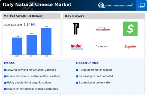 Italy Natural Cheese Market Infographic