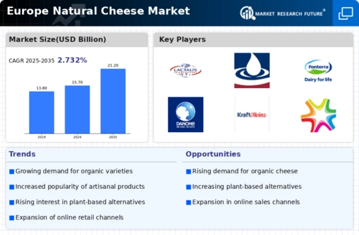 Europe Natural Cheese Market Infographic
