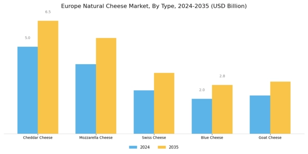 Europe Natural Cheese Market Segment Image 0