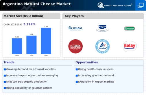 Argentina Natural Cheese Market Infographic