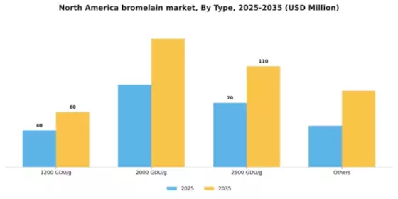 North America Bromelain Market Segment Image 2