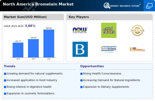 North America Bromelain Market Infographic