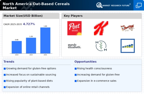 North America Oat Based Cereals Market Infographic