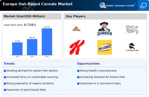 Europe Oat Based Cereals Market Infographic