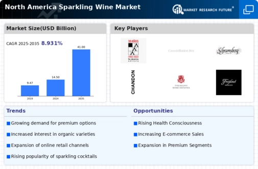 North America Sparkling Wine Market Infographic