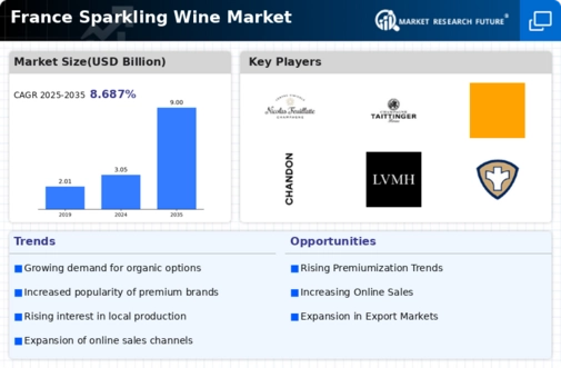 France Sparkling Wine Market Infographic