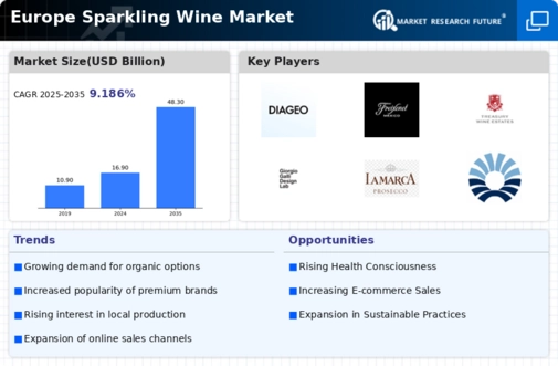 Europe Sparkling Wine Market Infographic