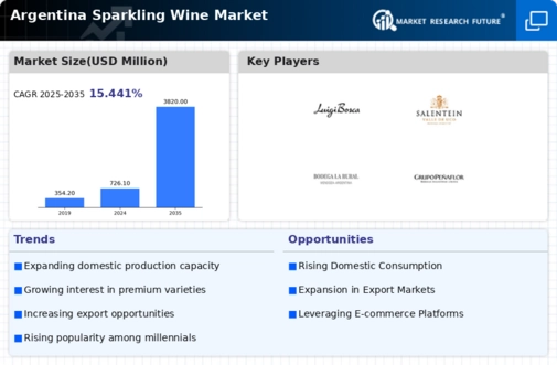 Argentina Sparkling Wine Market Infographic