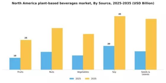 North America Plant Based Beverages Market Segment Image 1