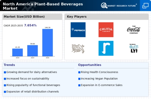 North America Plant Based Beverages Market Infographic