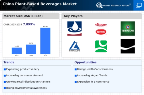 China Plant Based Beverages Market Infographic