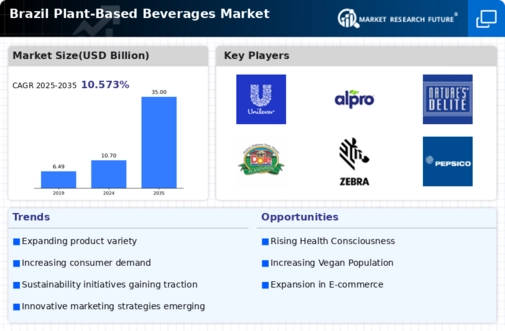 Brazil Plant Based Beverages Market Infographic