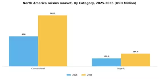 North America Raisins Market Segment Image 0