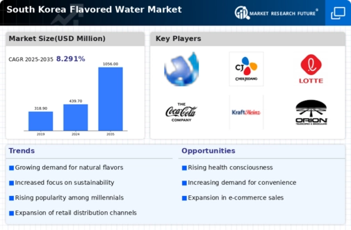 South Korea Flavored Water Market Infographic