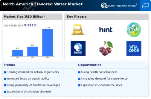North America Flavored Water Market Infographic