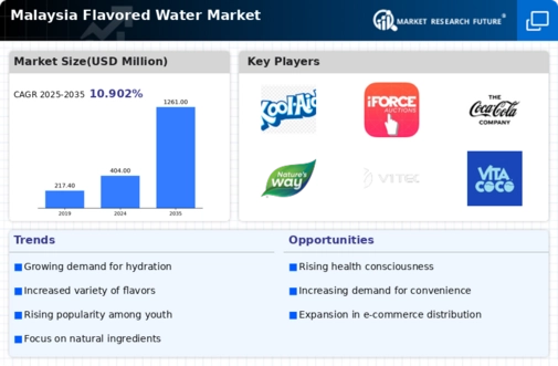 Malaysia Flavored Water Market Infographic
