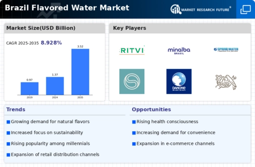 Brazil Flavored Water Market Infographic