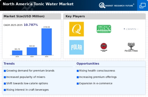 North America Tonic Water Market Infographic