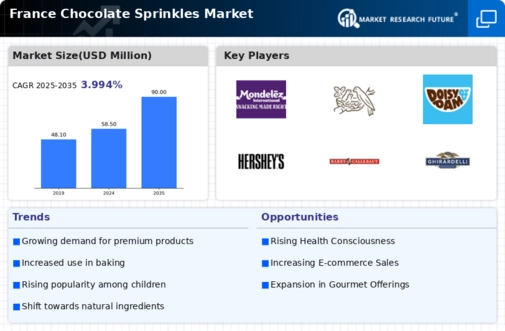 France Chocolate Sprinkles Market Infographic