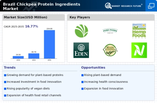 Brazil Chickpea Protein Ingredients Market Infographic