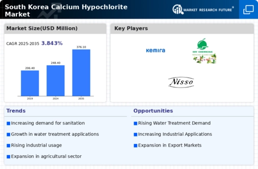 South Korea Calcium Hypochlorite Market Infographic