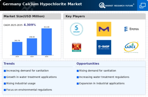 Germany Calcium Hypochlorite Market Infographic
