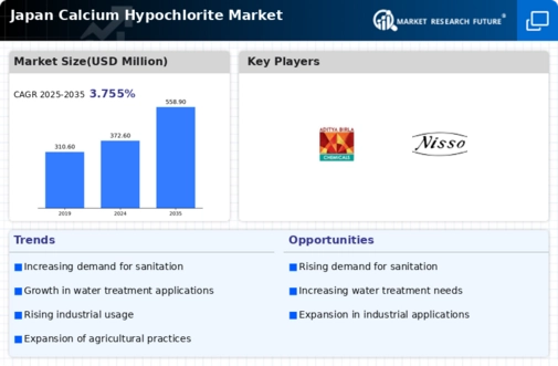 Japan Calcium Hypochlorite Market Infographic