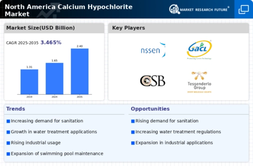 North America Calcium Hypochlorite Market Infographic