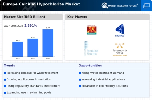 Europe Calcium Hypochlorite Market Infographic